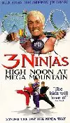 3 Ninjas: High Noon at Mega Mountain preview